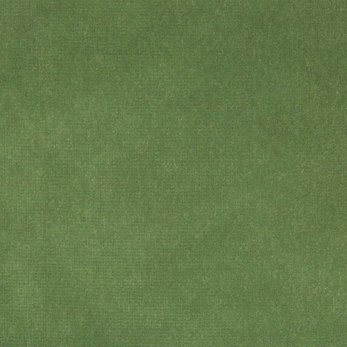 Kravet Design - Versailles-E264250