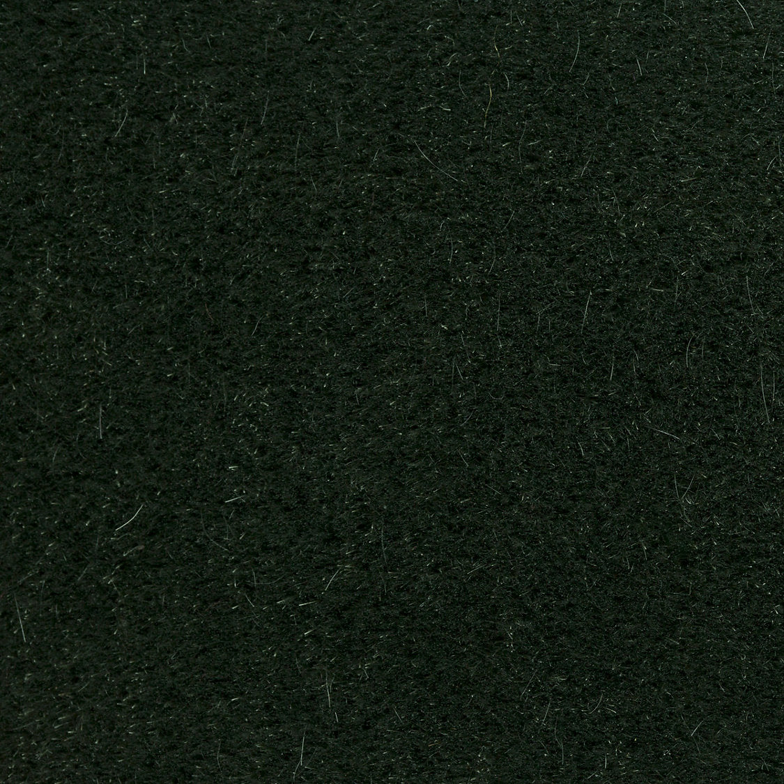 Majestic Mohair - Winter Pine - Scalamandre Fabric