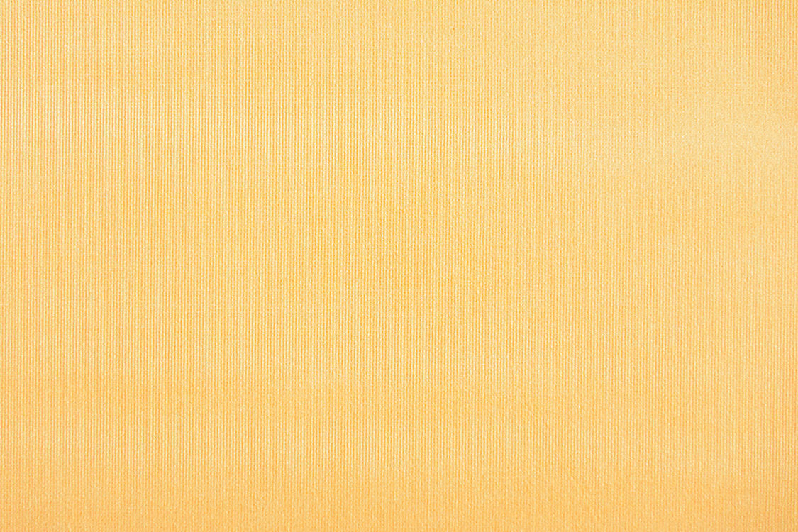 Glamour Velvet - Tangerine - Scalamandre Fabric