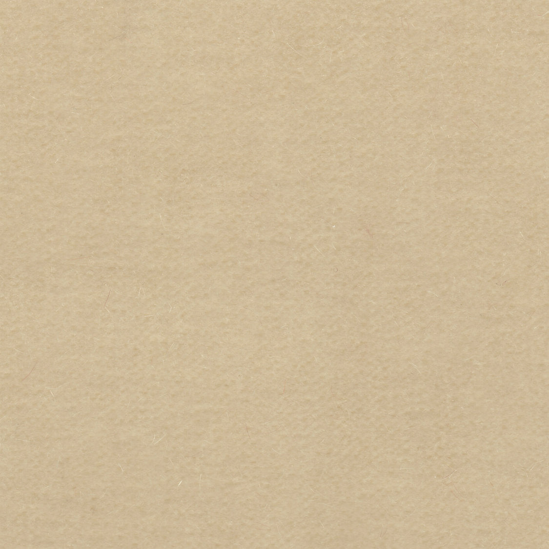 Majestic Mohair - Froth