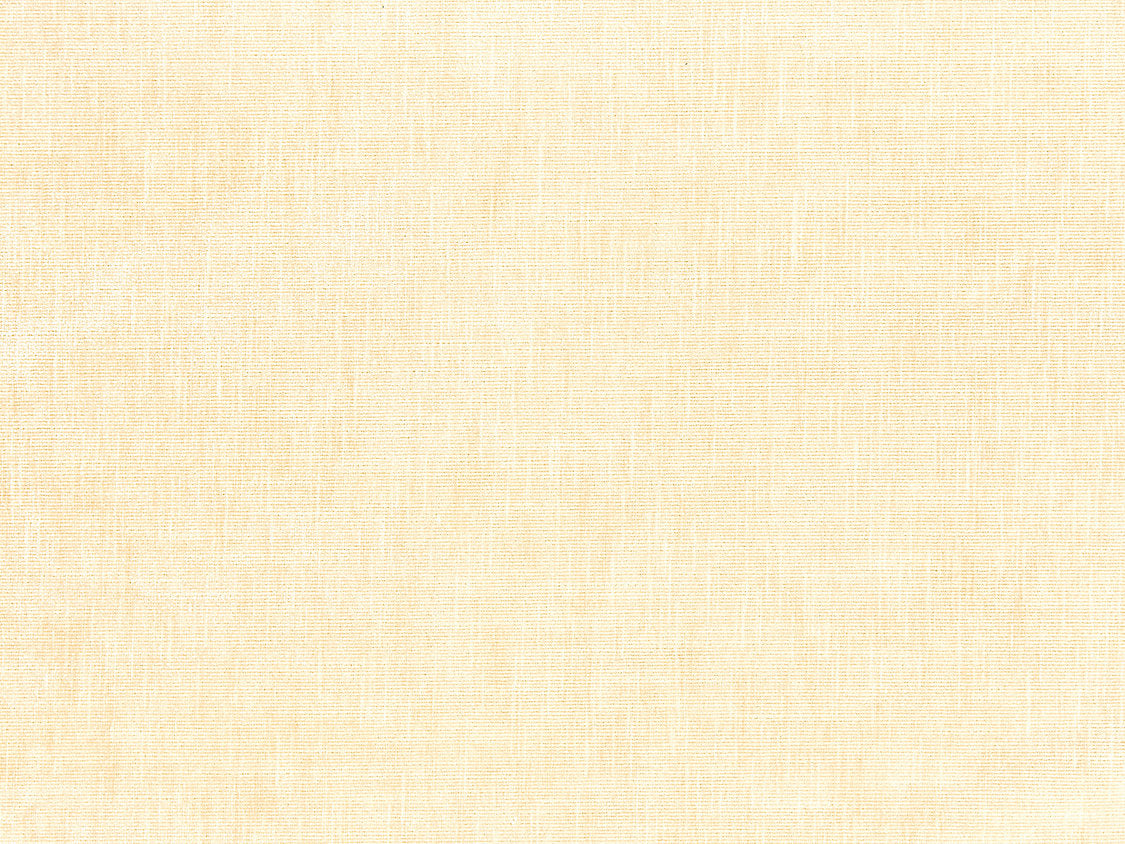 Supreme Velvet - Falcon - Scalamandre Fabric