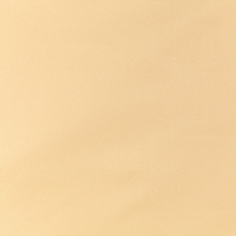 Pacific Silk - Barley - Scalamandre Fabric