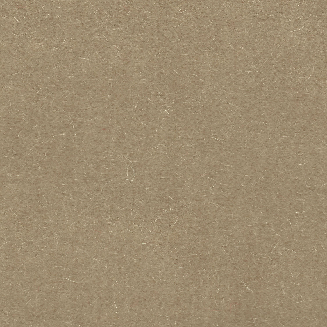 Majestic Mohair - Putty - Scalamandre Fabric