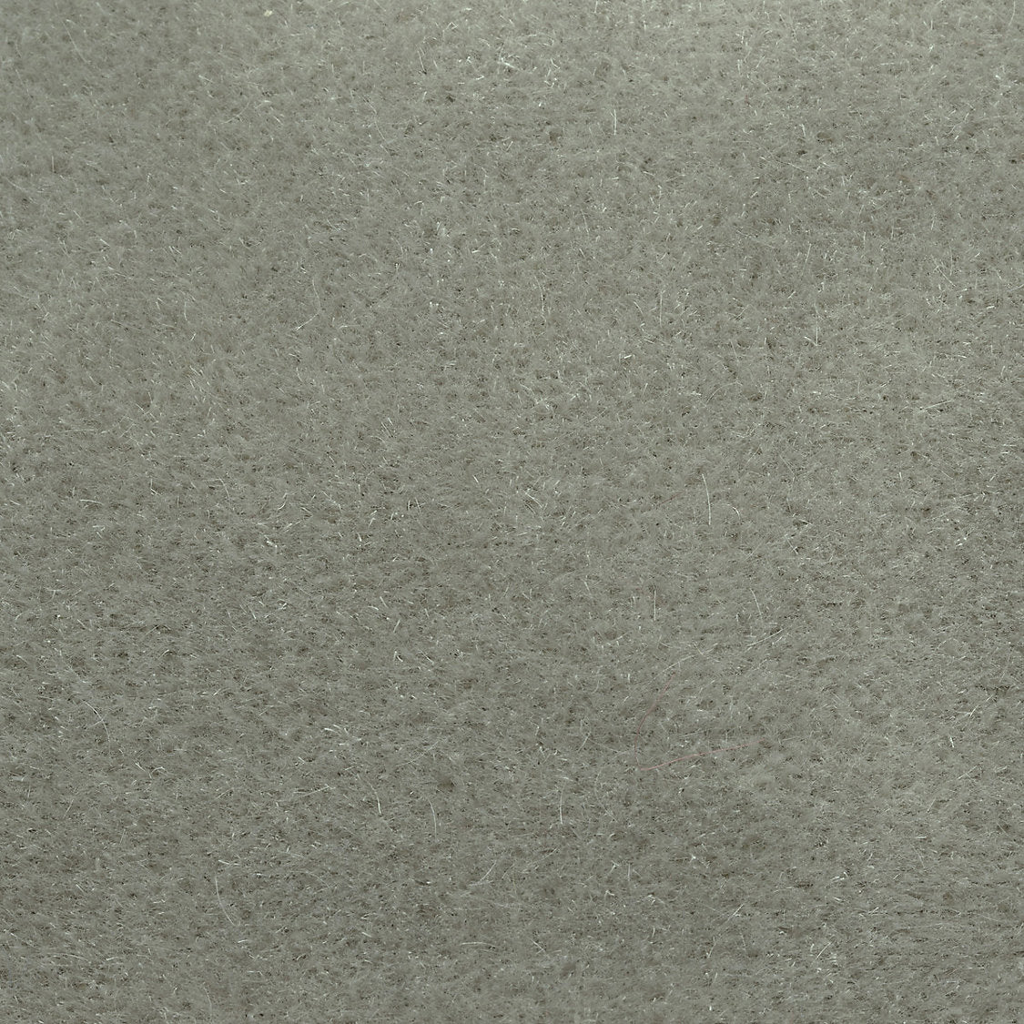 Majestic Mohair - Dove - Scalamandre Fabric