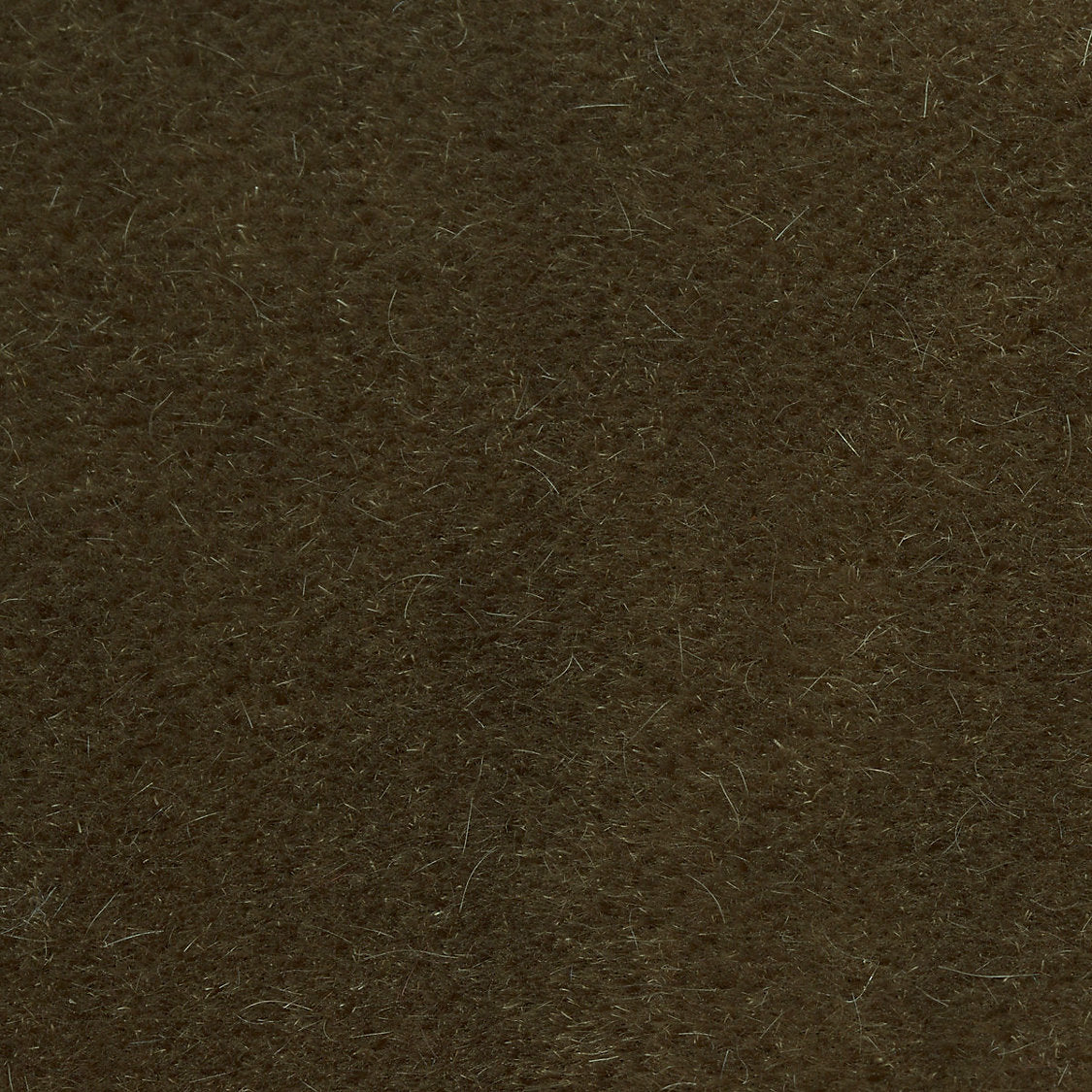 Majestic Mohair - Cabin - Scalamandre Fabric