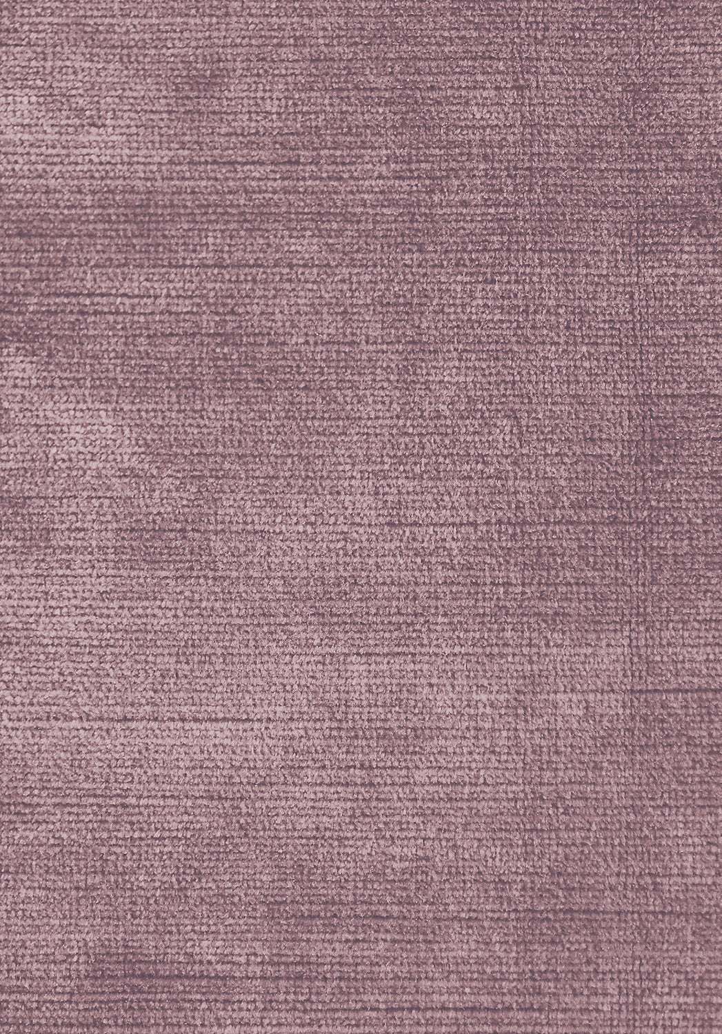 Antique Velvet - Peppercorn - Scalamandre Fabric