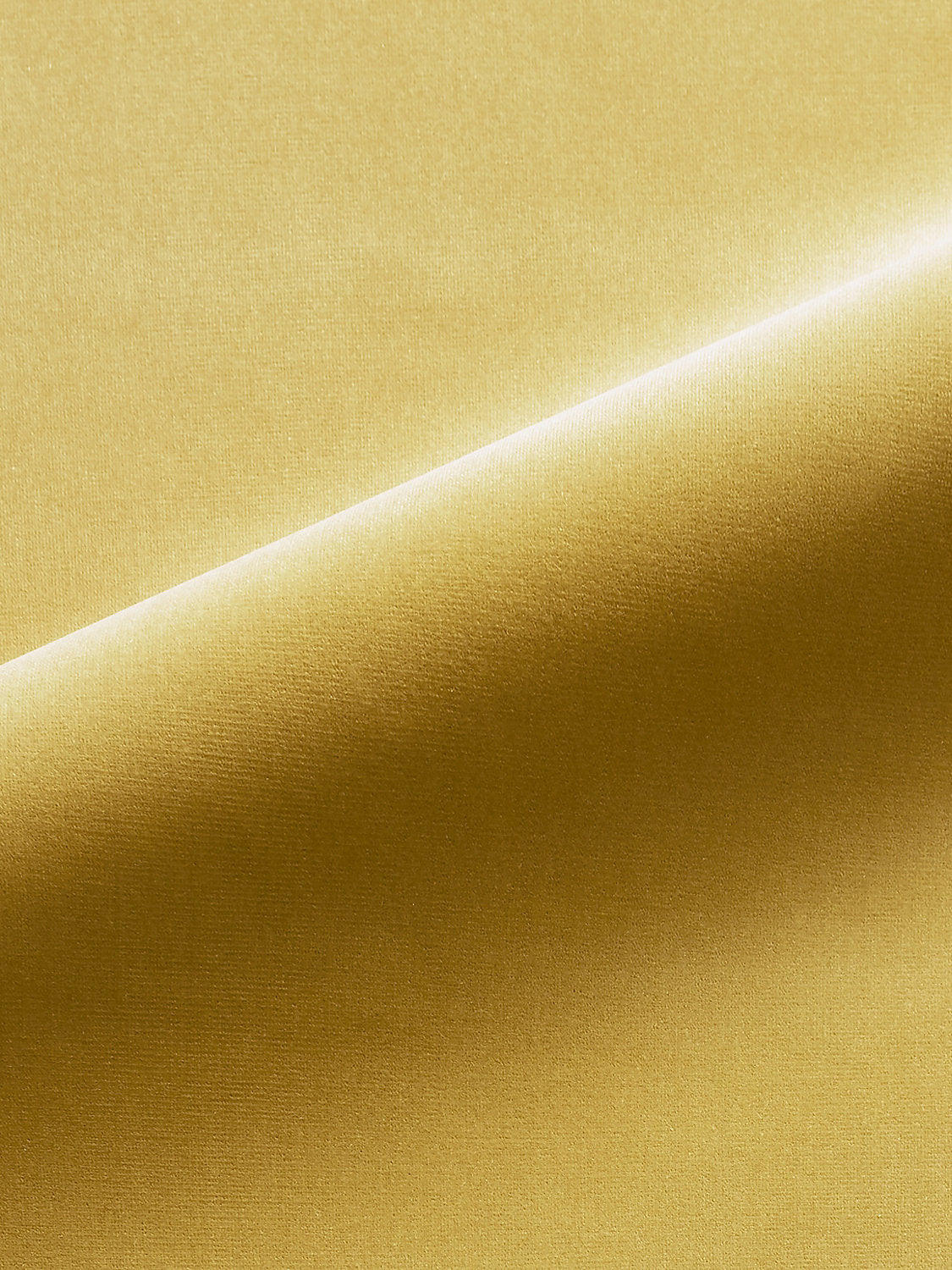 Linley - Maize
