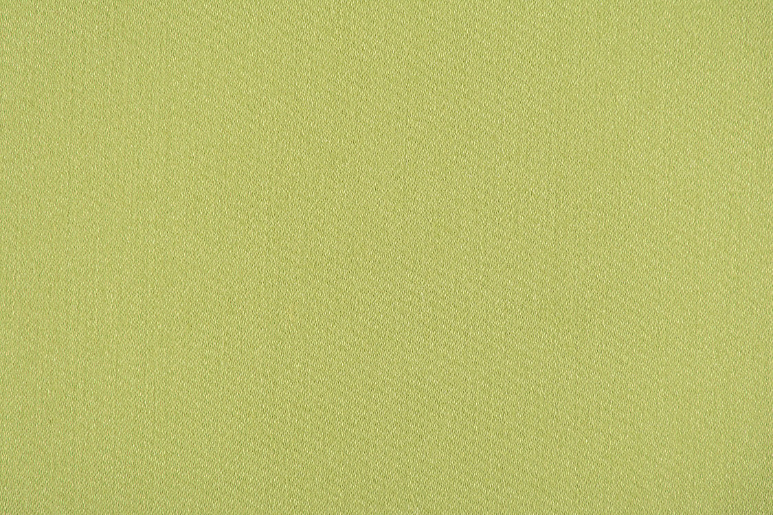 Rio - Spring Green - Scalamandre Fabric