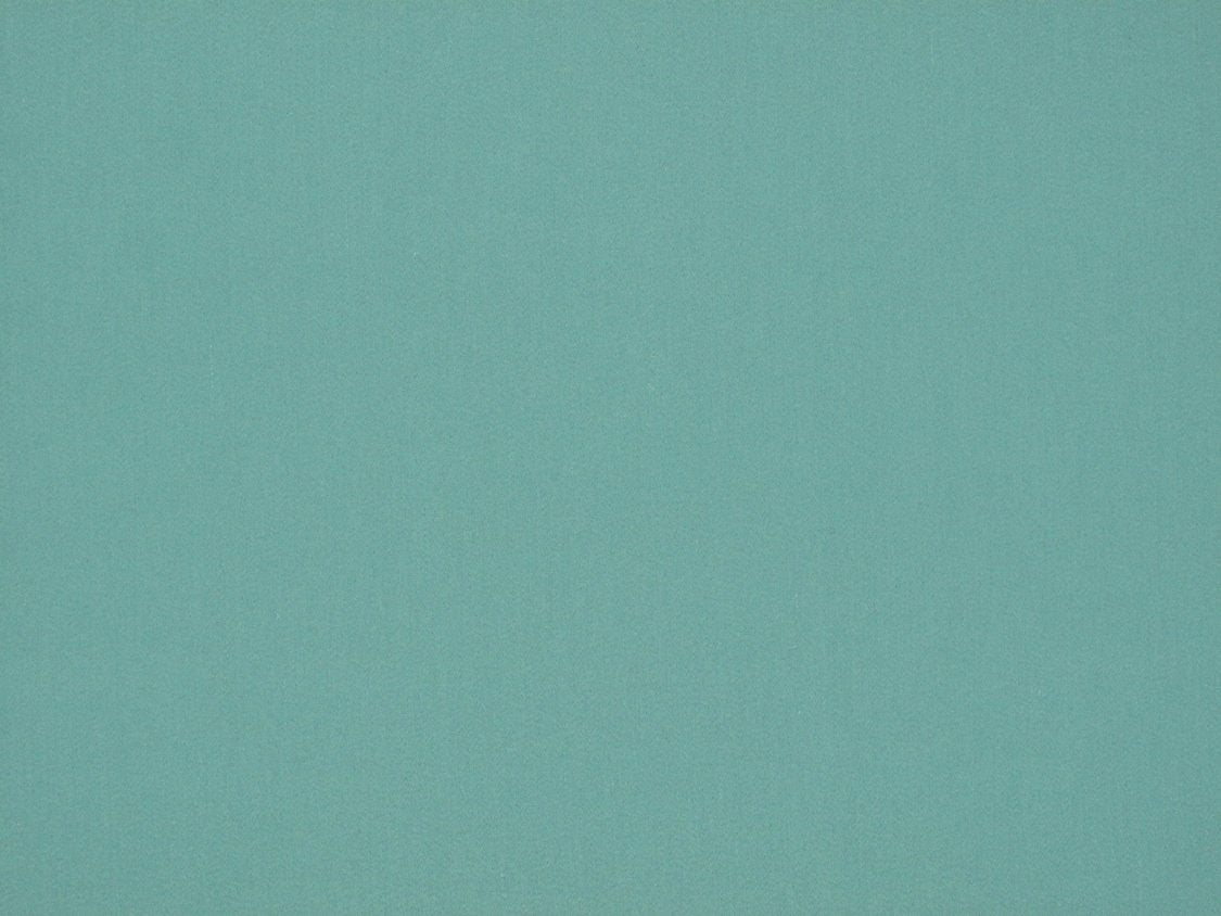 Rio - Viridian - Scalamandre Fabric