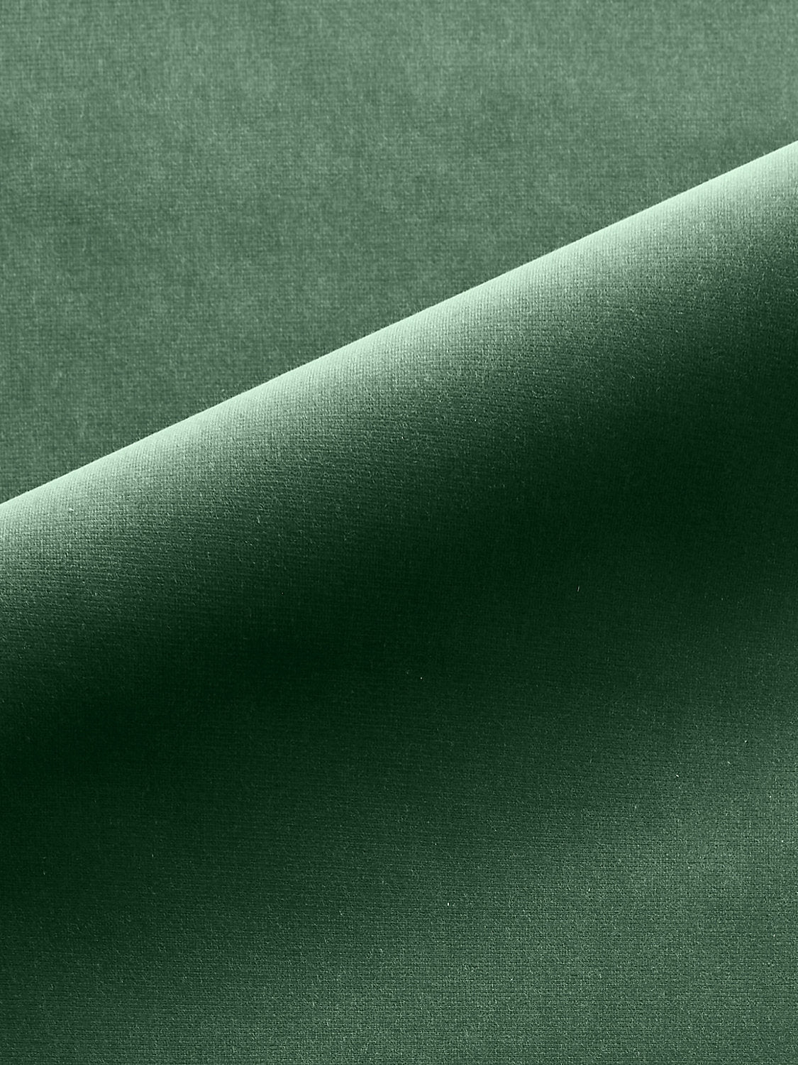 Linley - Pine - Scalamandre Fabric