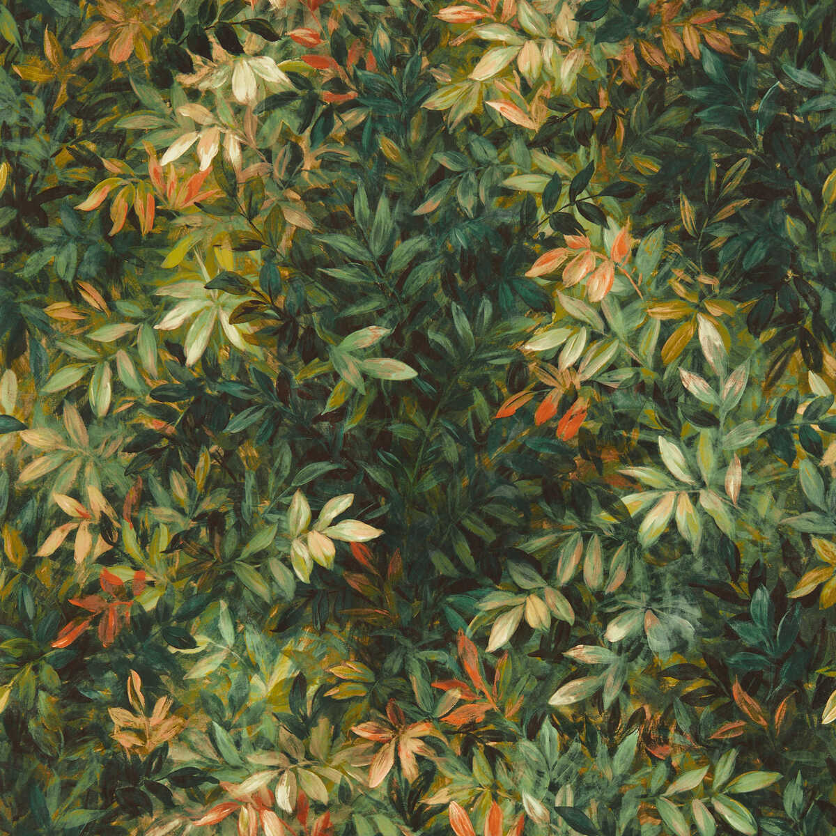 Congo - Antique Wp