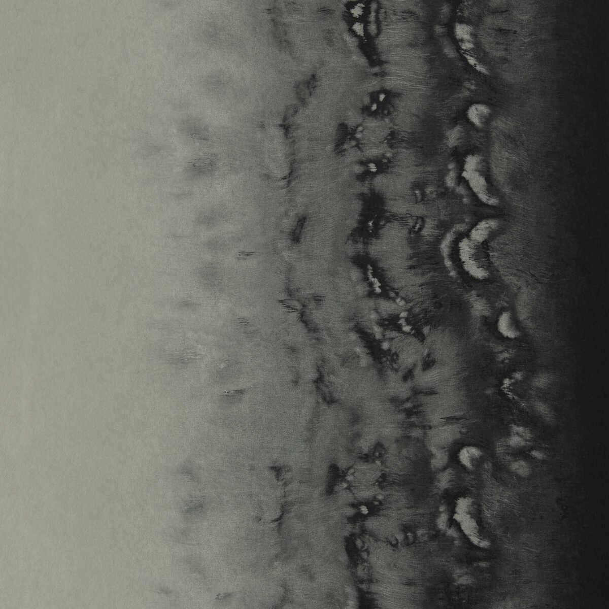 Disperse - Silver Wp - CLARKE AND CLARKE Wallpaper