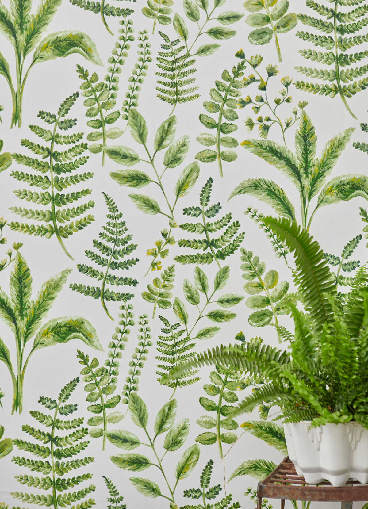 Bracken - Forest Wp - CLARKE AND CLARKE Papel pintado