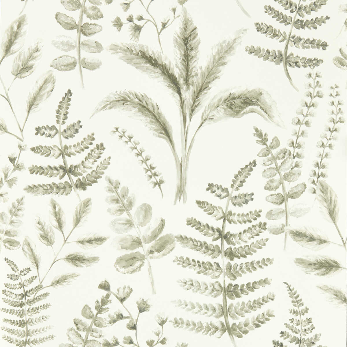 Bracken - Natural Wp - CLARKE AND CLARKE Wallpaper