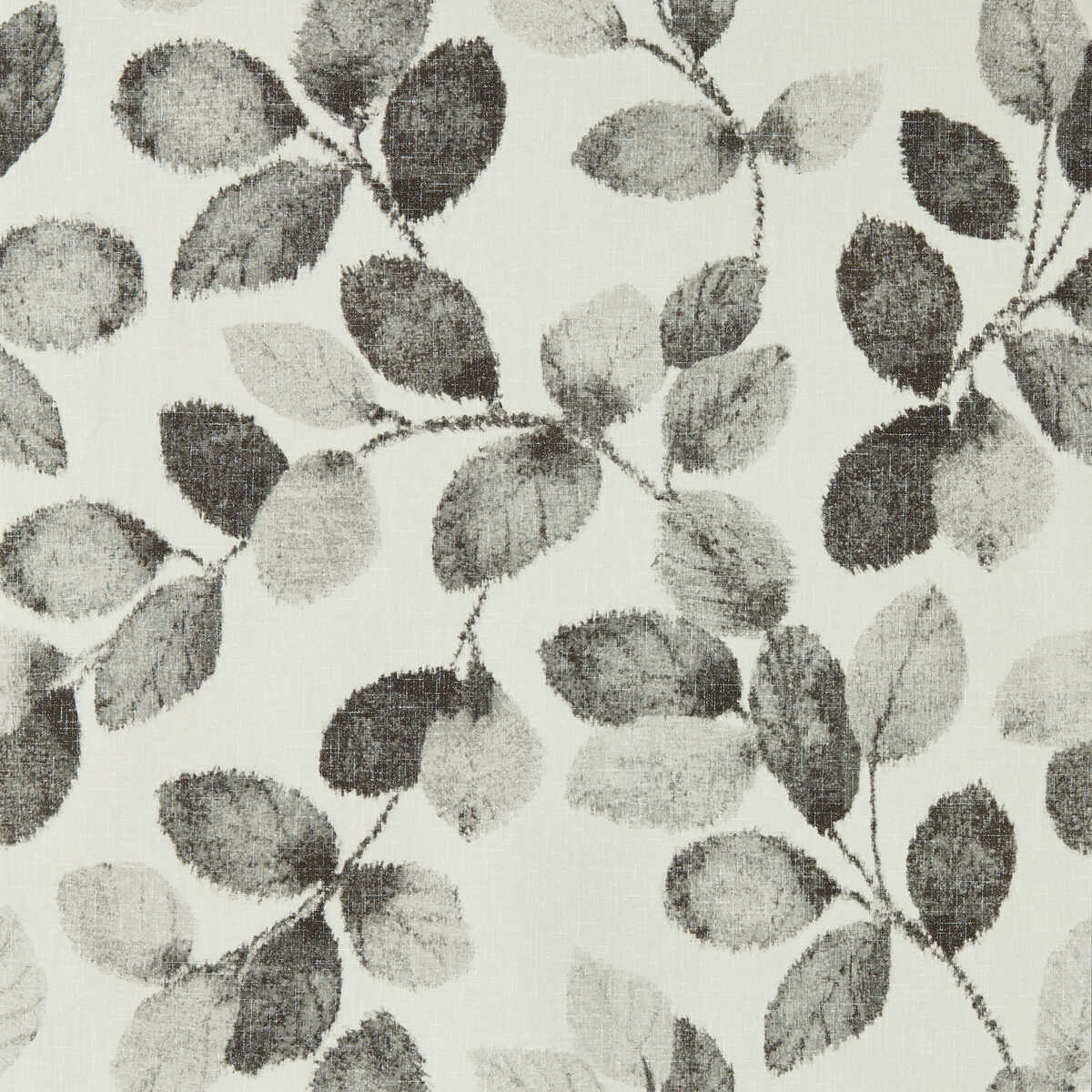 Northia - Charcoal Wp