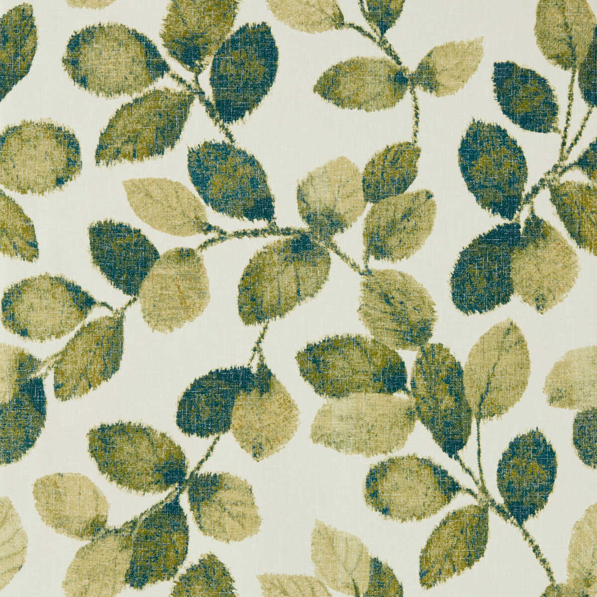 Northia - Olive Peacock Wp