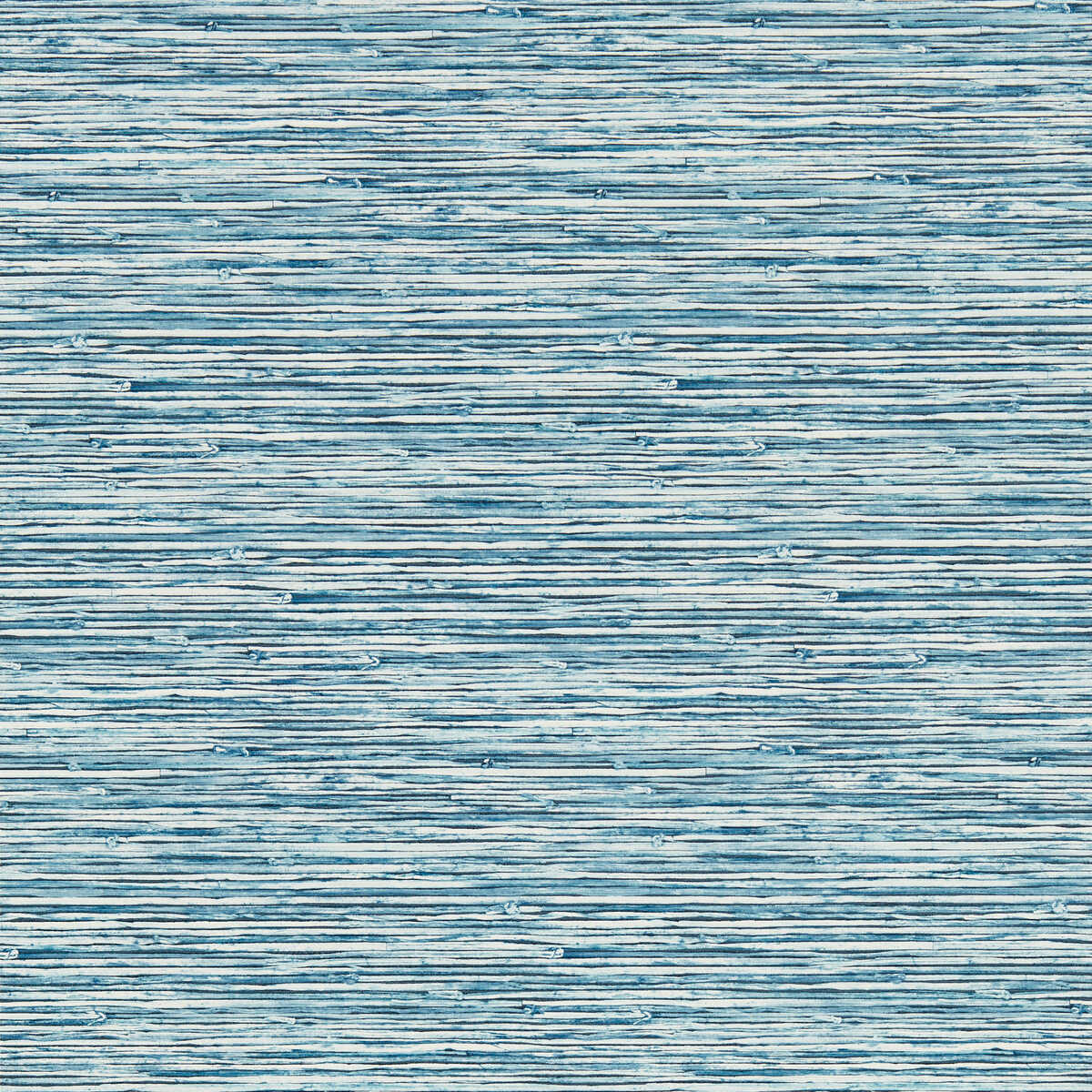 Xan - Caribbean Wp - CLARKE AND CLARKE Papel pintado