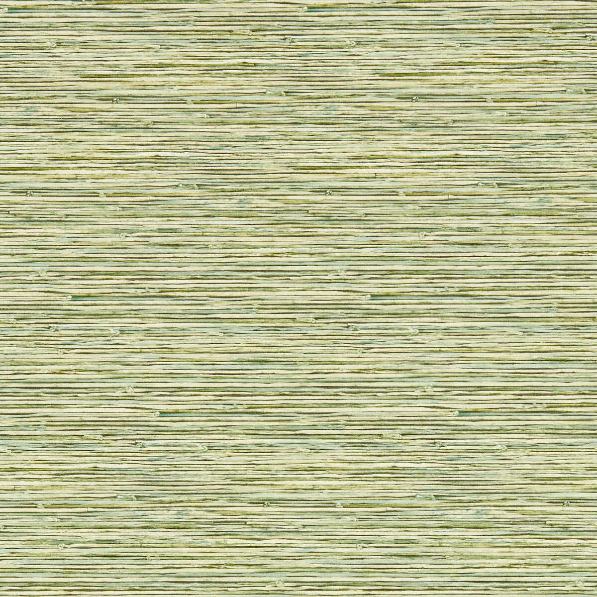 Xan - Palm Wp - CLARKE AND CLARKE Papel pintado