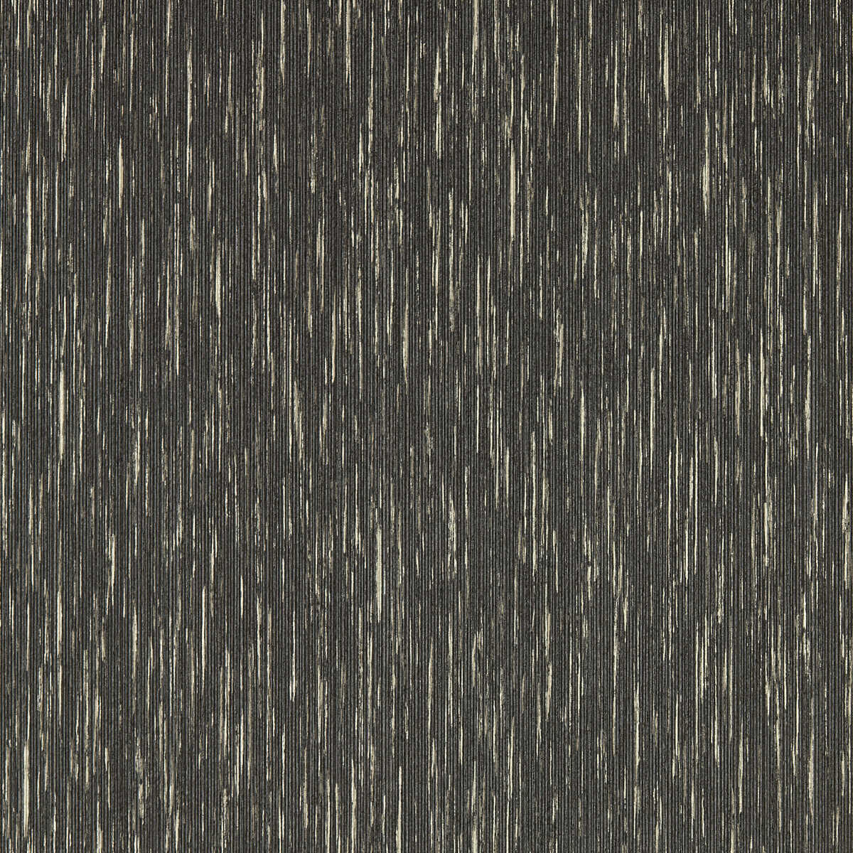 Asper - Charcoal Gilver Wp - CLARKE AND CLARKE Wallpaper