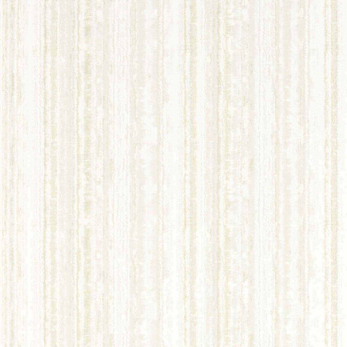 Striatus - Parchment Wp