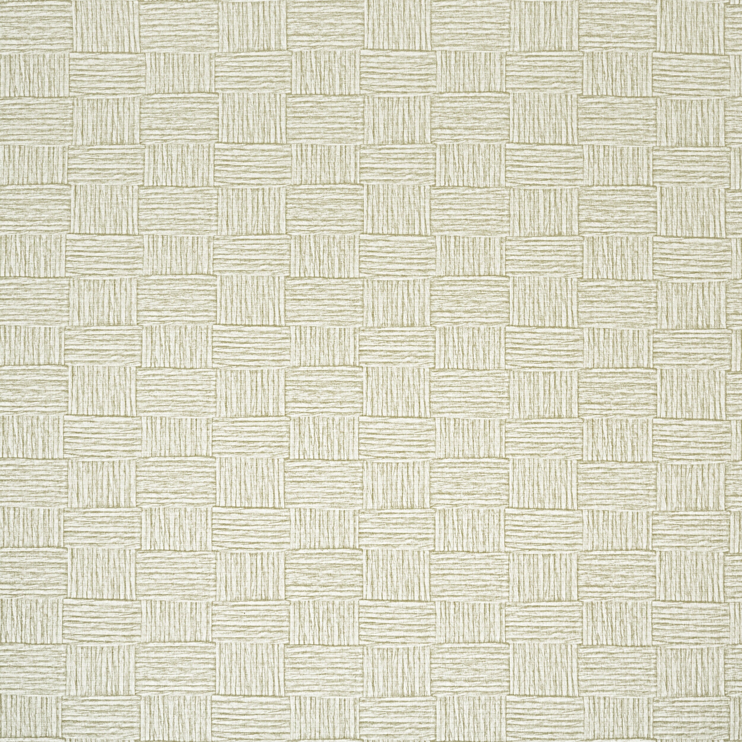 W1016-1-LACEY-BIRCH-WALLPAPER-STOUT-TEXTILES