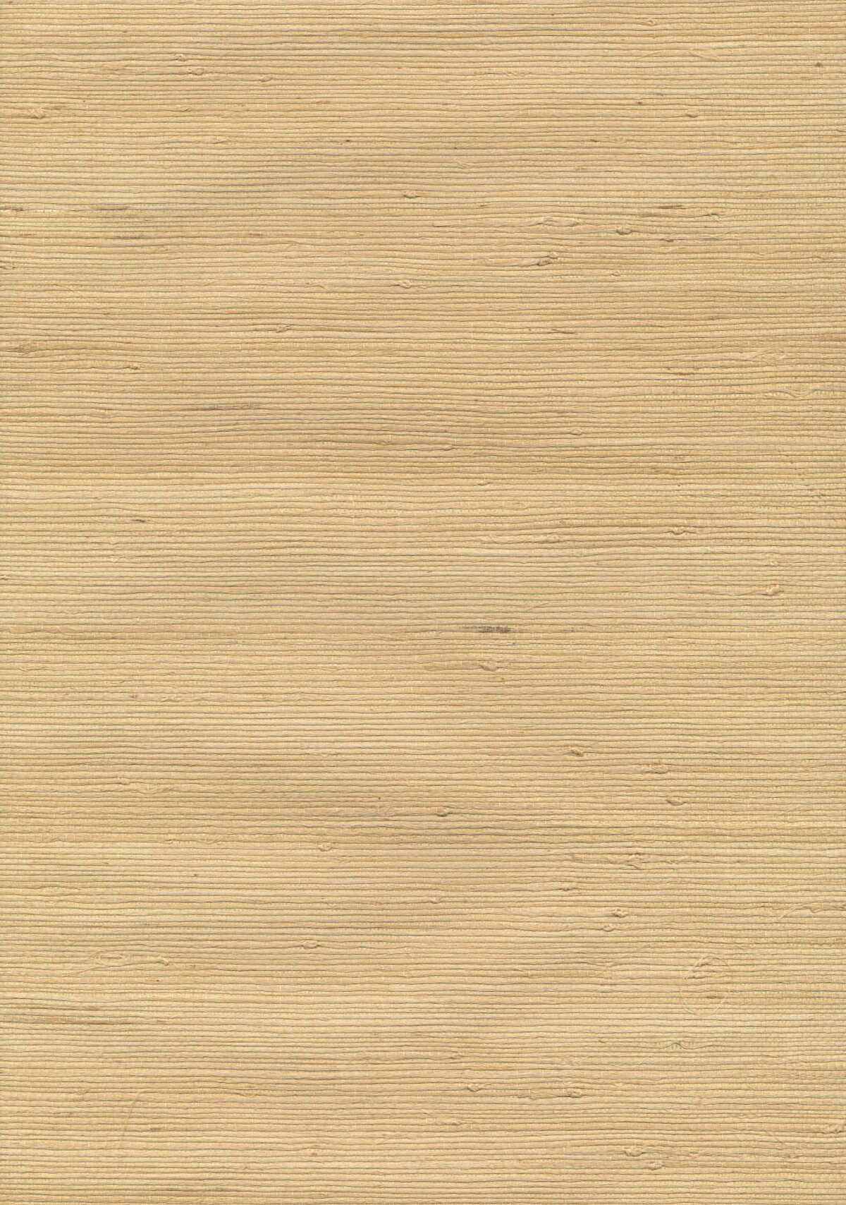 Kravet Design - W3107-404 - KRAVET DESIGN Wallpaper