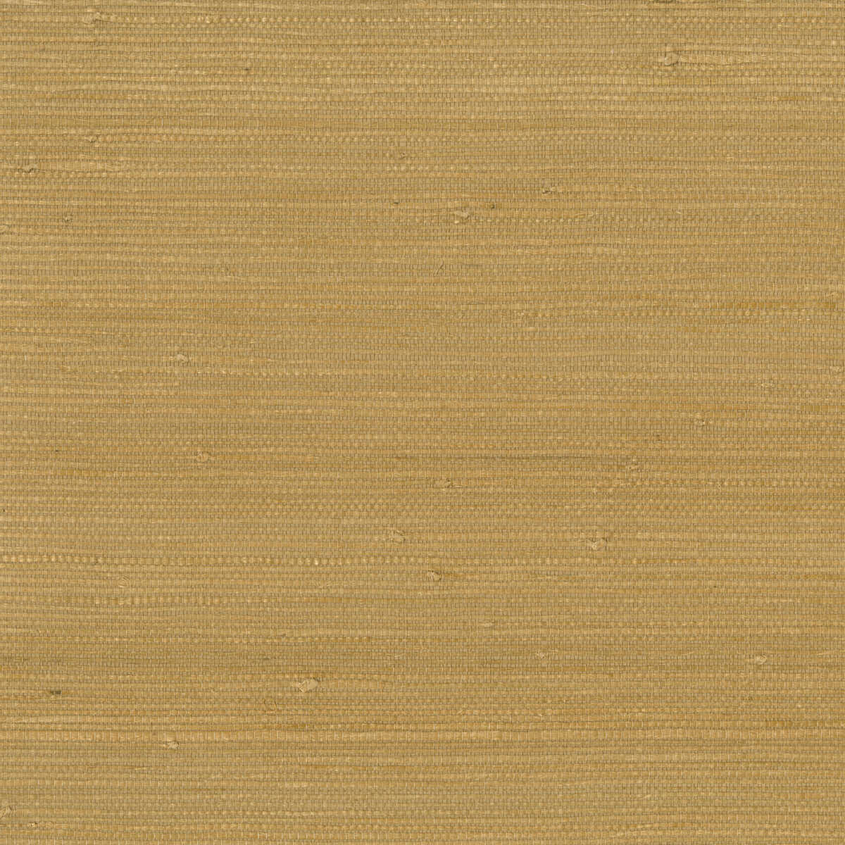 Kravet Design - W3312-4 - KRAVET DESIGN Wallpaper