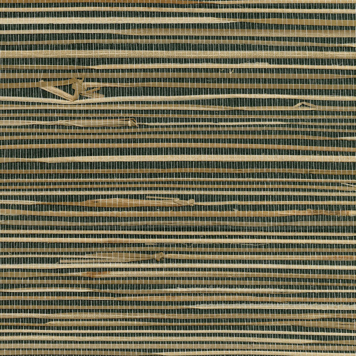 Kravet Design - W3436-621