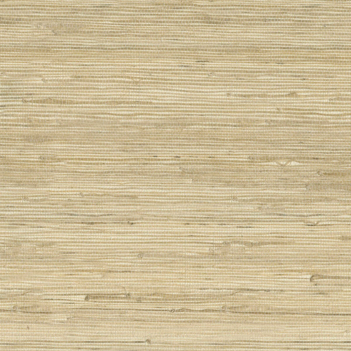 Kravet Design - W3566-16 - KRAVET DESIGN Wallpaper