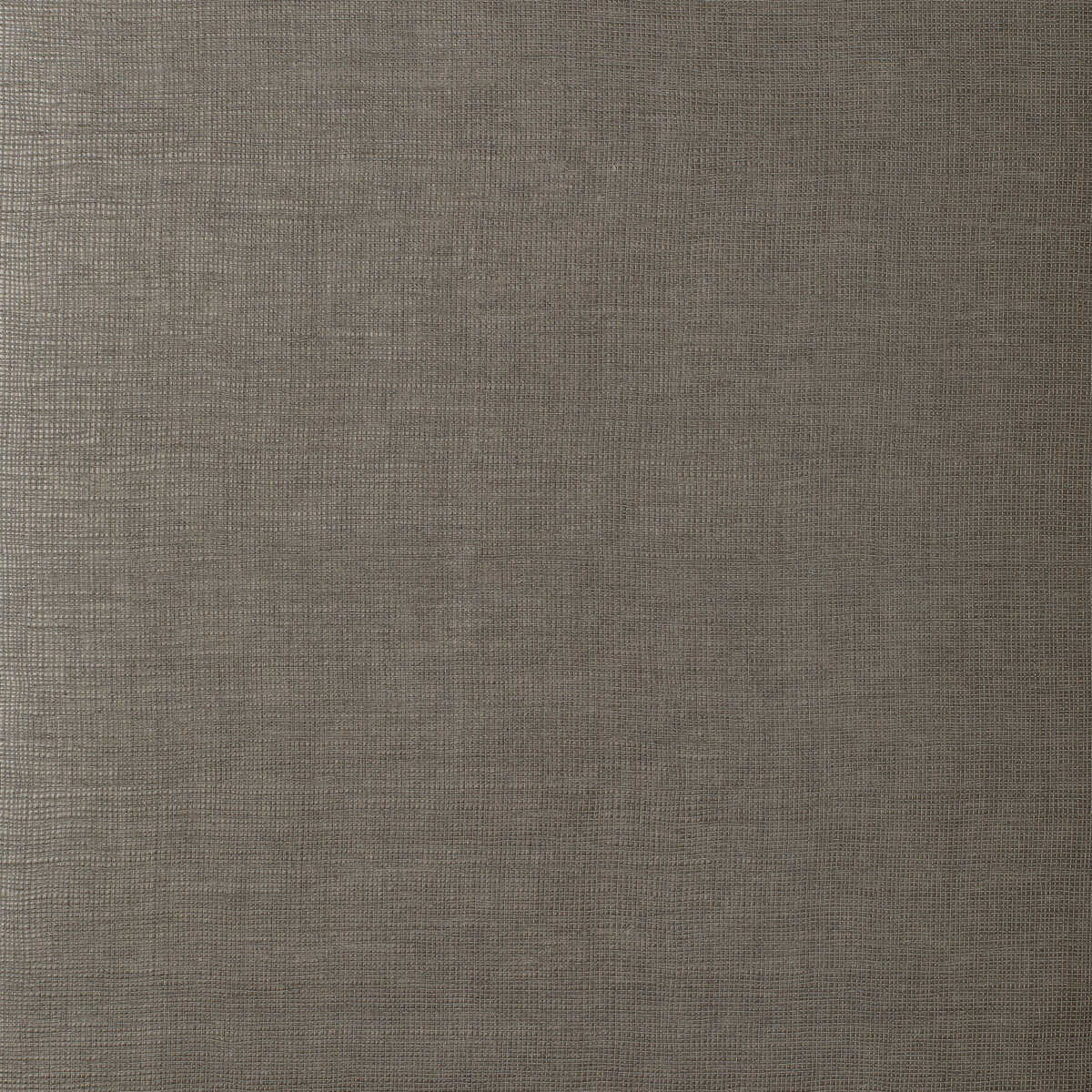 Muse - Silt - KRAVET COUTURE Papel pintado