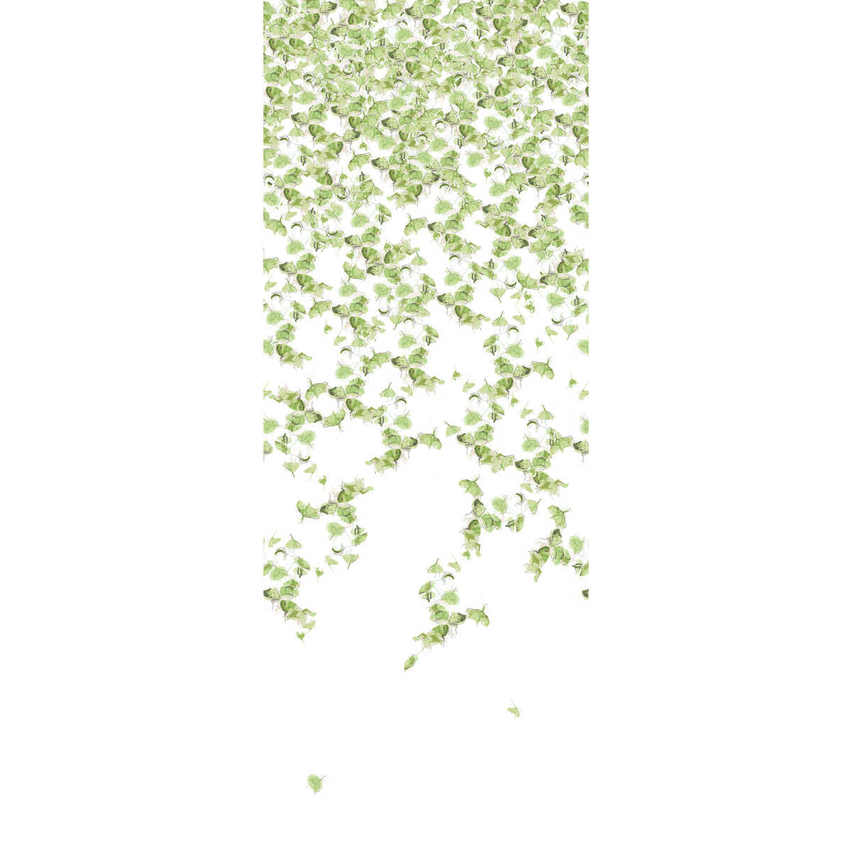 Falling Ginkgo - Summer - KRAVET COUTURE Wallpaper