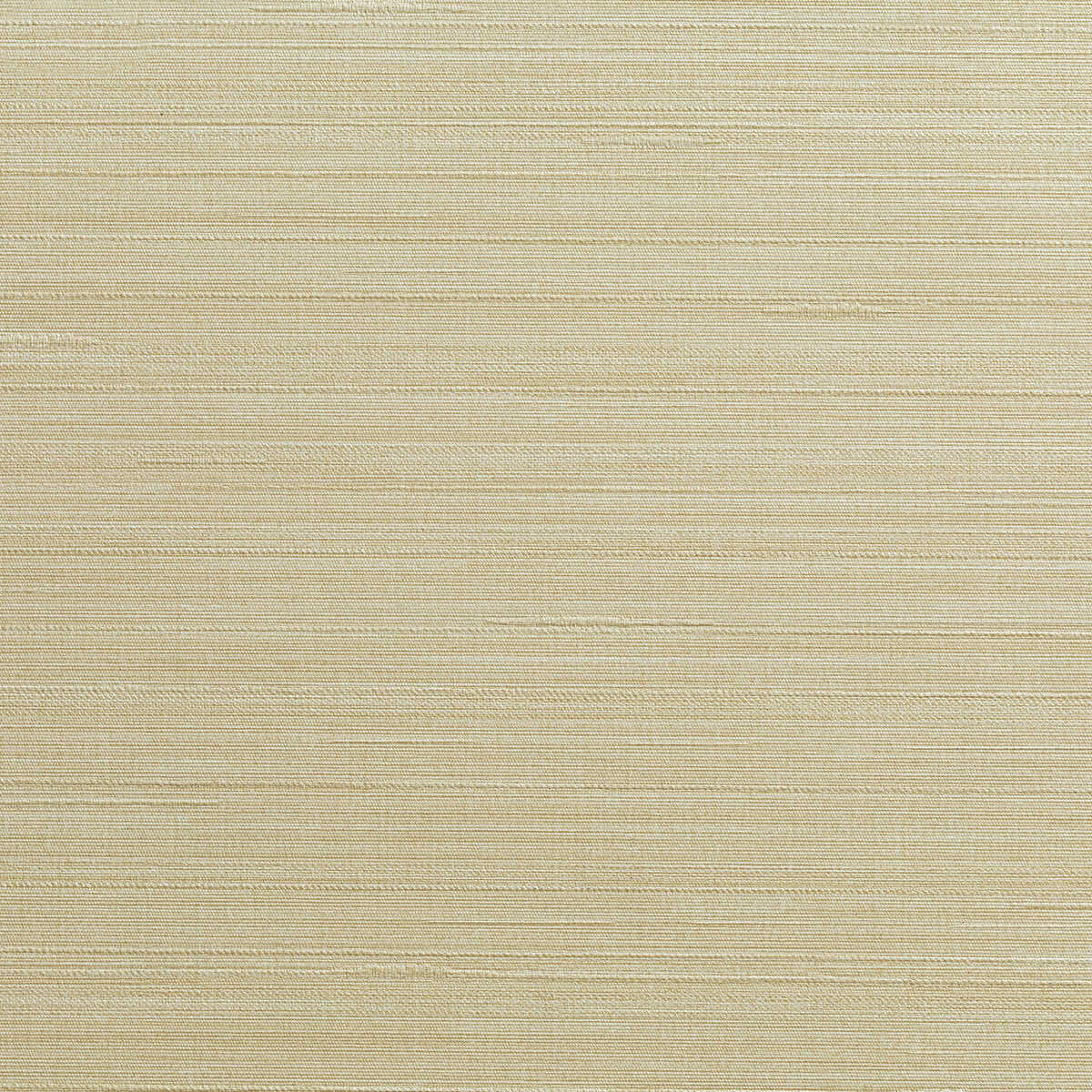 Kravet Design - W3637-1614 - KRAVET DESIGN Wallpaper