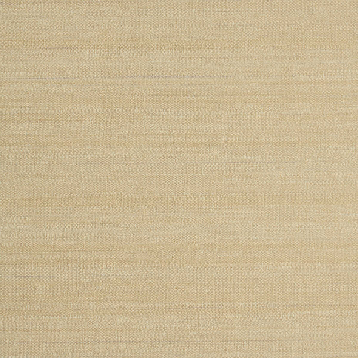 Kravet Design - W3659-416 - KRAVET DESIGN Wallpaper