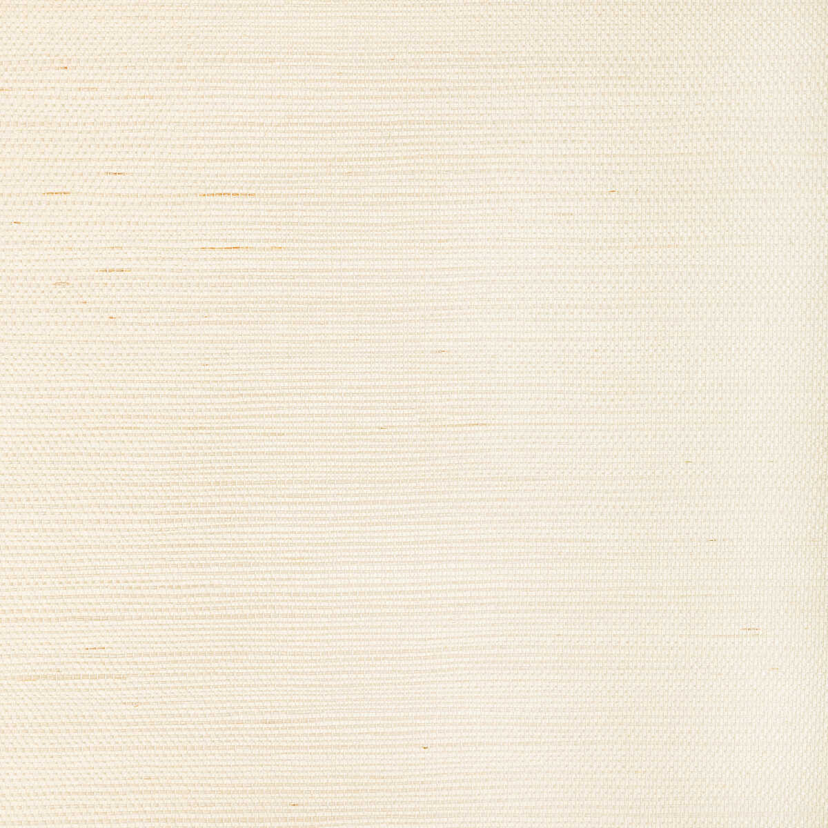 Luxe Sisal - Bone - KRAVET COUTURE Wallpaper