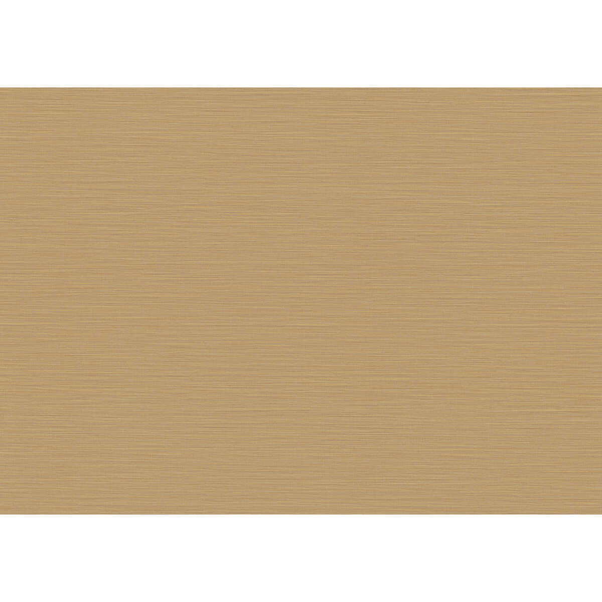 Cannete Wp - 10377