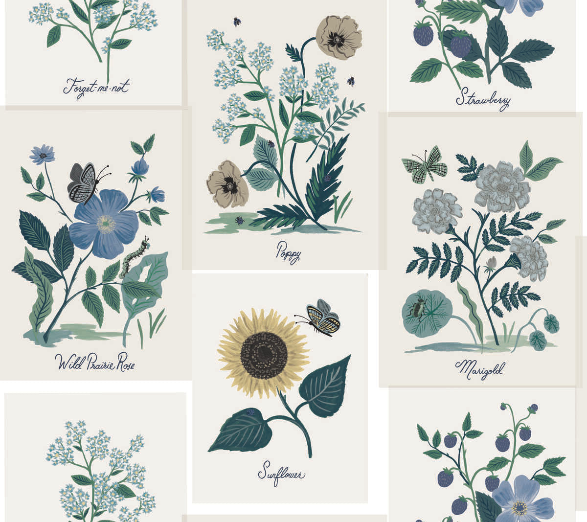 Kravet Design - W3947-350