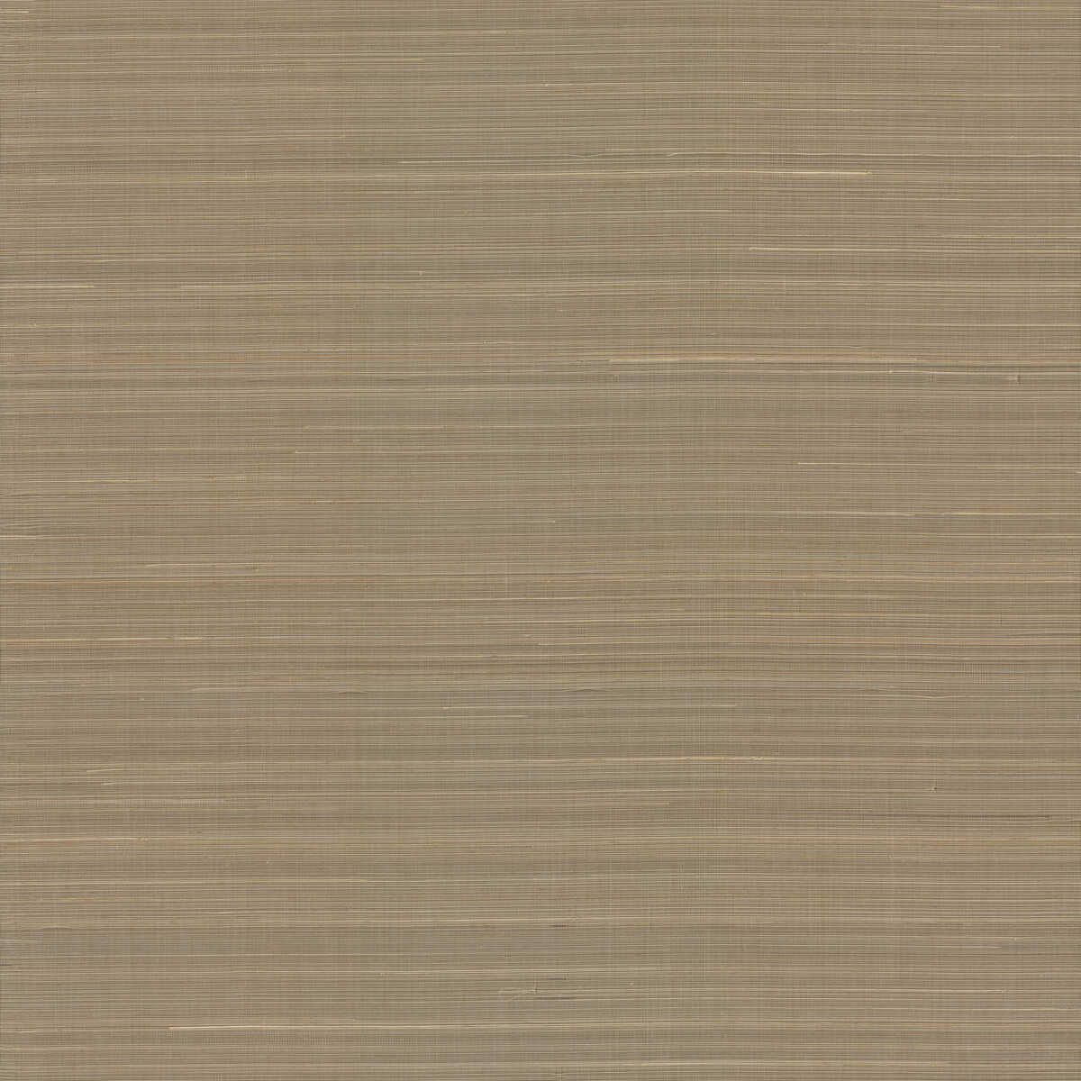 Kravet Design - W3998-616 - KRAVET DESIGN Wallpaper