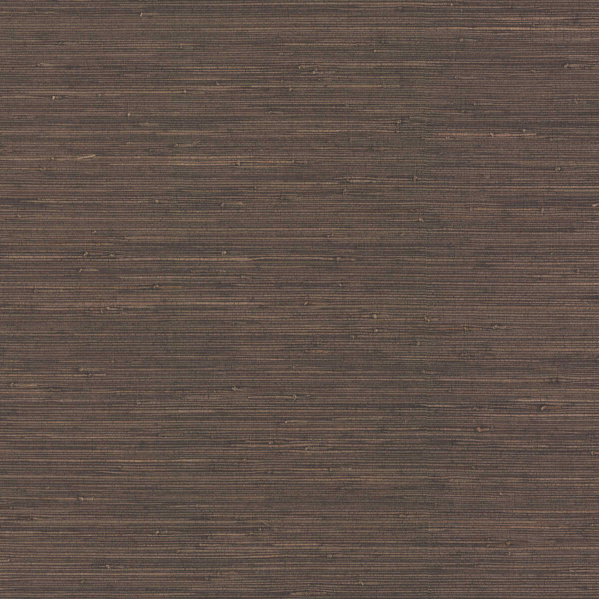 Kravet Design - W4002-66 - KRAVET DESIGN Wallpaper