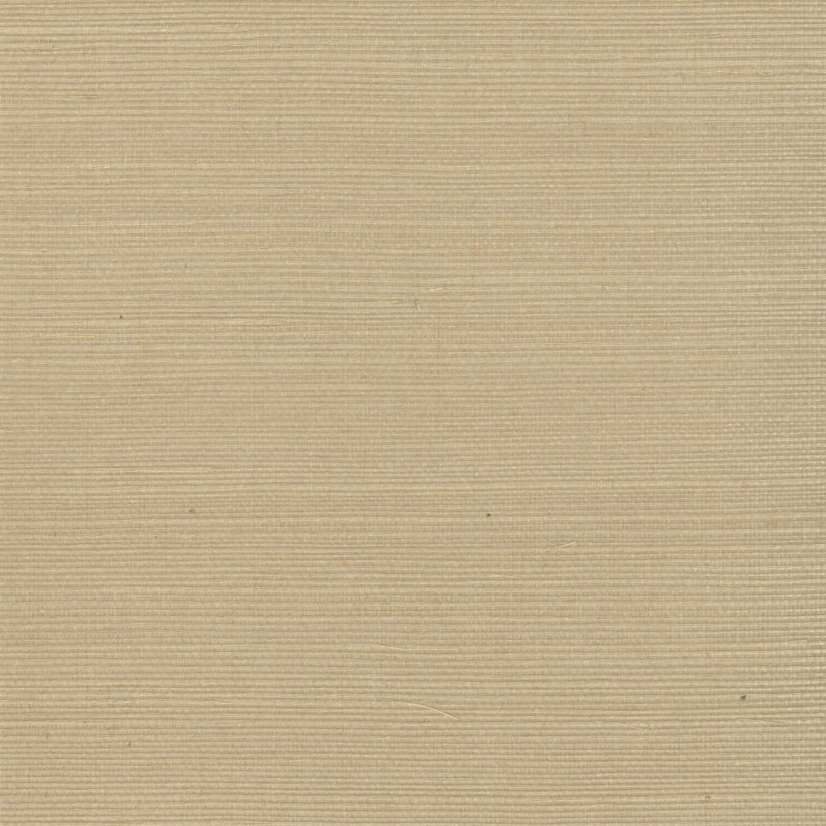 Kravet Design - W4003-16 - KRAVET DESIGN Wallpaper