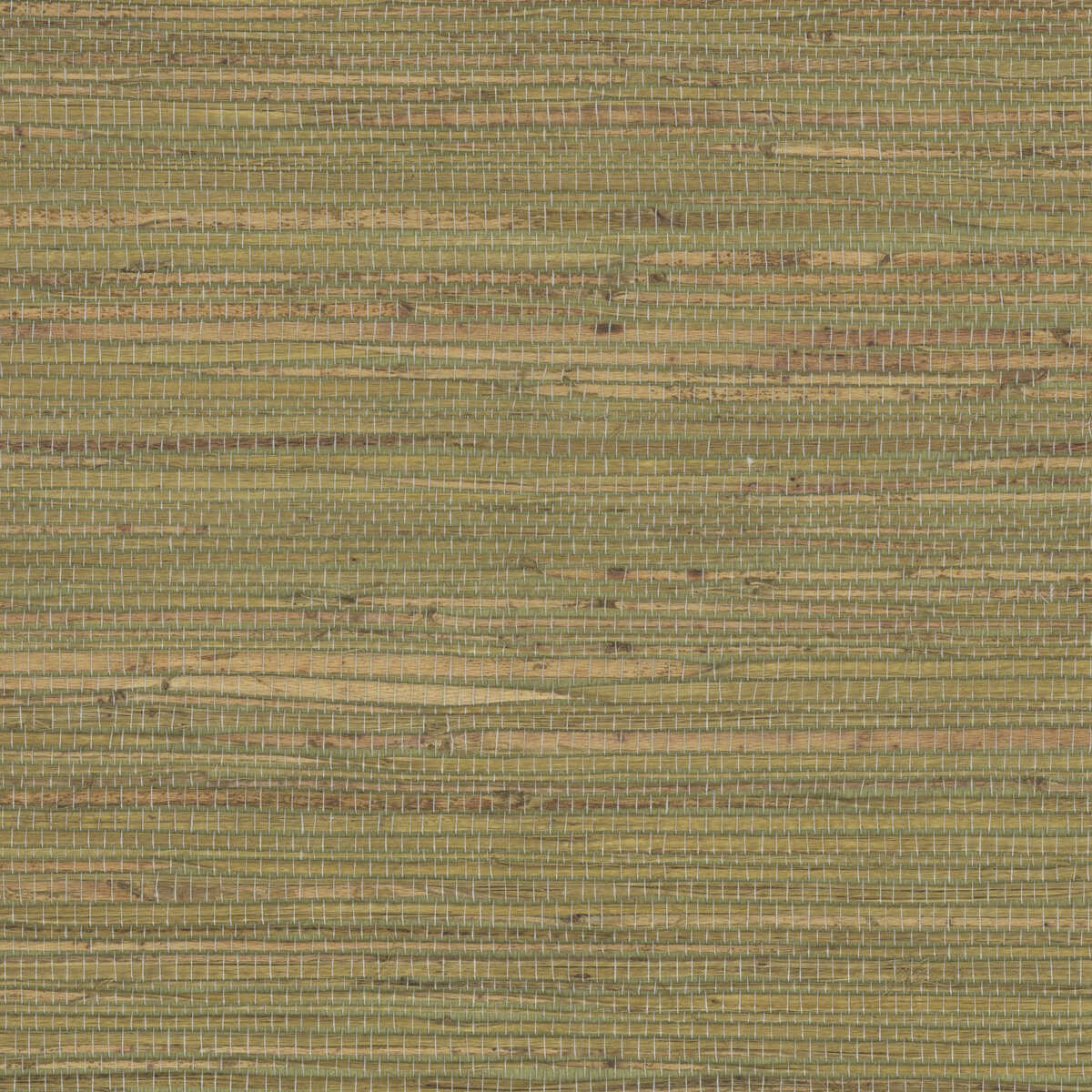 Kravet Design - W4007-316 - KRAVET DESIGN Wallpaper