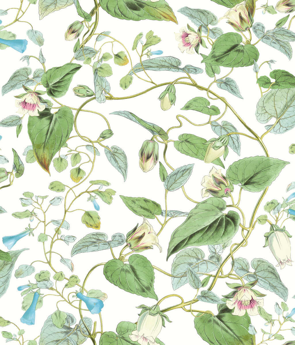 Kravet Design - W4132-31 - KRAVET DESIGN Wallpaper