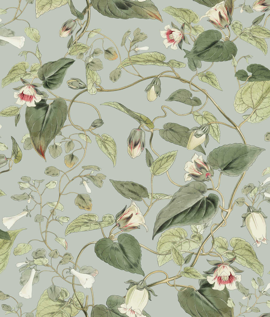 Kravet Design - W4132-311 - KRAVET DESIGN Papel pintado