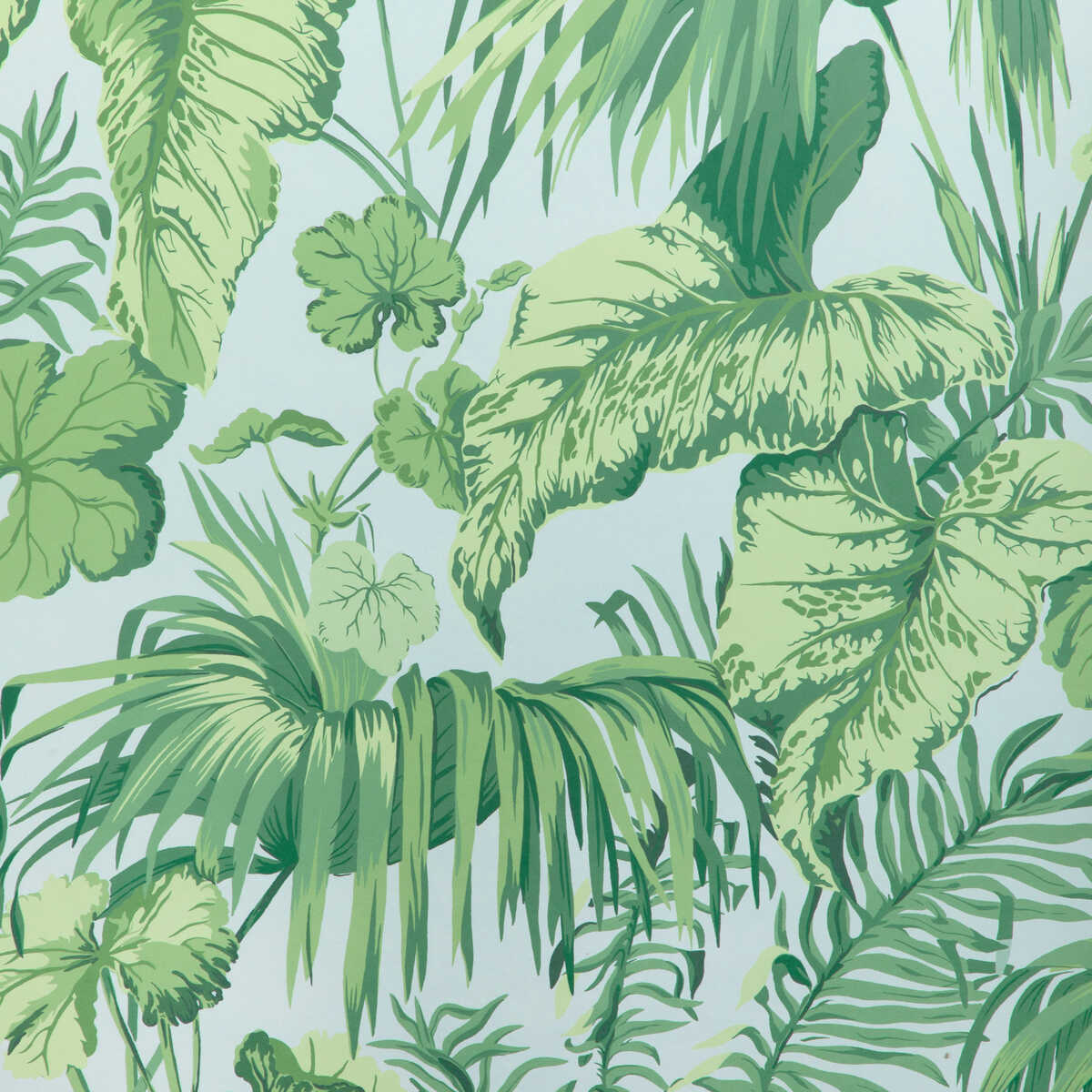 Yasuni Wp - Sky Blue - KRAVET COUTURE Wallpaper