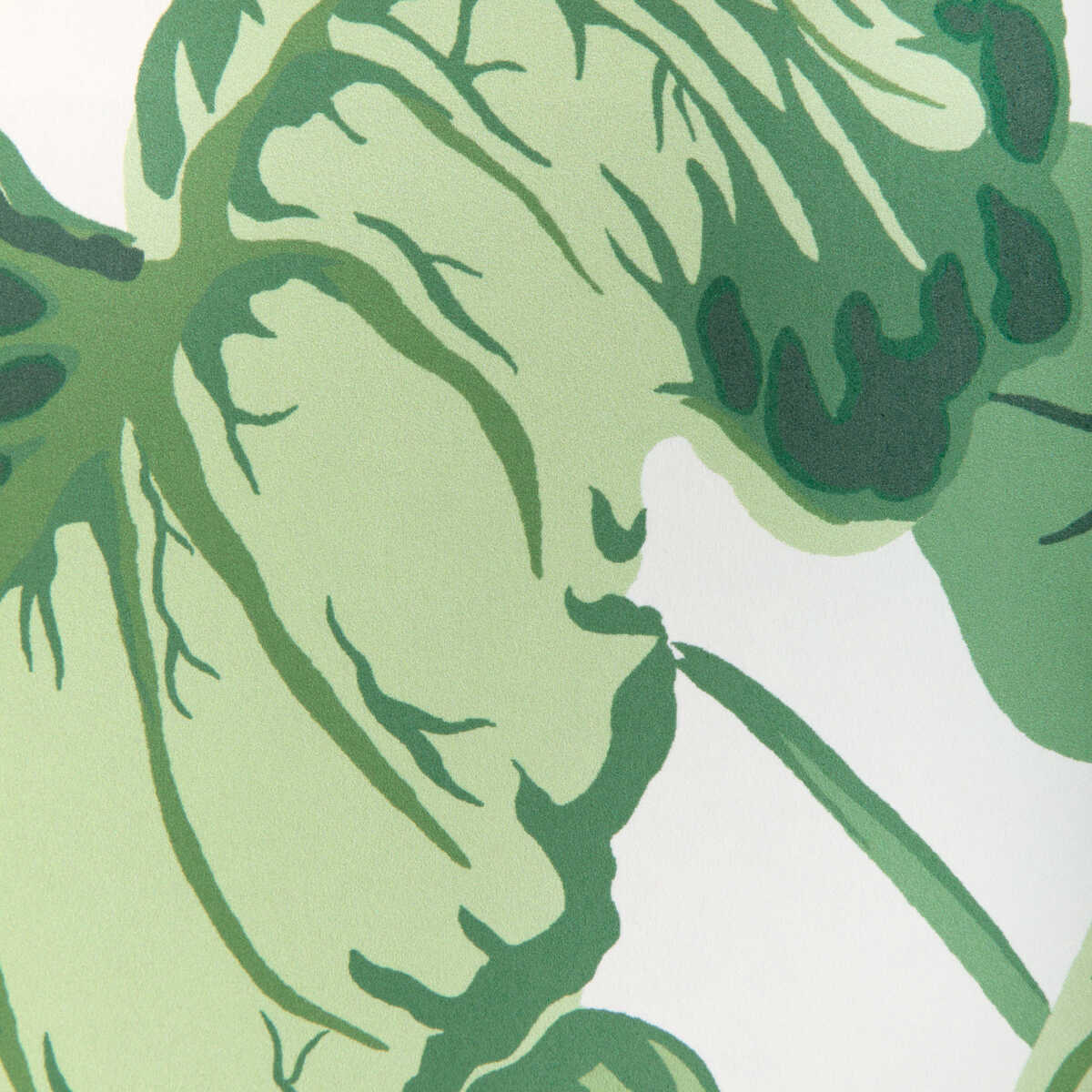 Yasuni Wp - Verde - KRAVET COUTURE Wallpaper