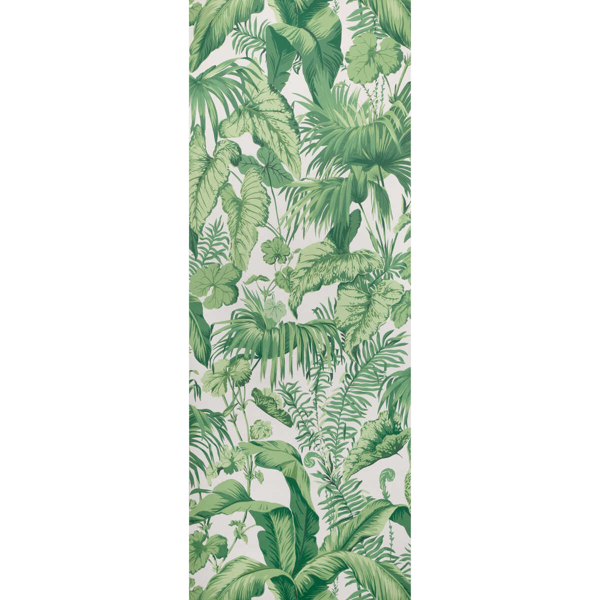 Yasuni Wp - Verde - KRAVET COUTURE Wallpaper