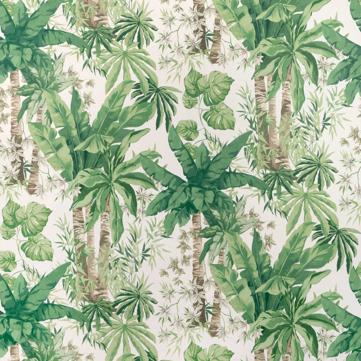 Junglewood Wp - Verde - KRAVET COUTURE Wallpaper