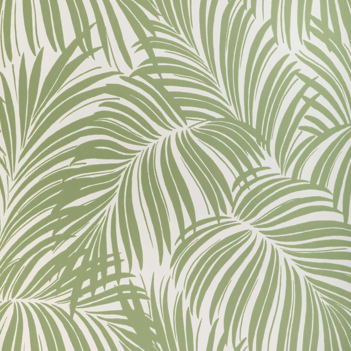 Palm Leaf Wp - Verde - KRAVET COUTURE Wallpaper