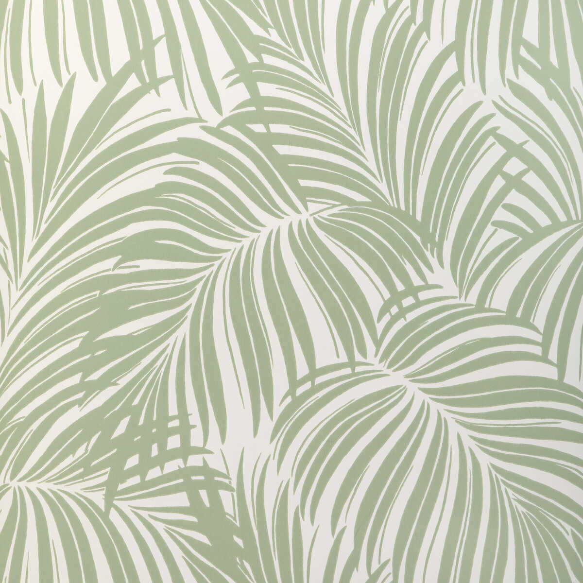 Palm Leaf Wp - Light Green - KRAVET COUTURE Wallpaper