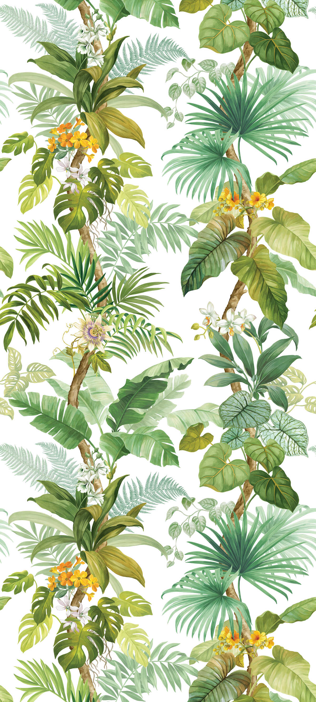 Kravet Design - W4196-3 - KRAVET DESIGN Wallpaper