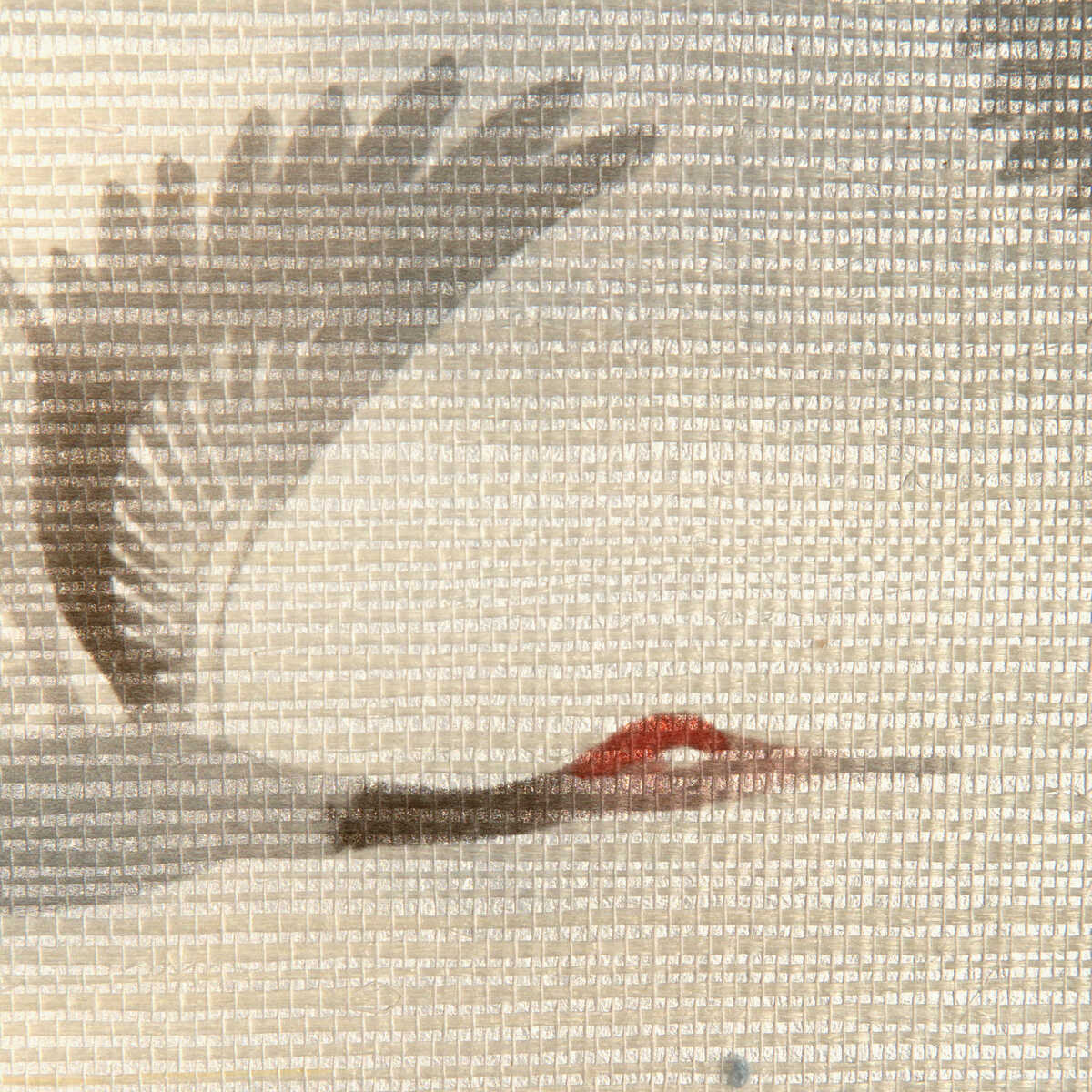 Kravet Design - W4205-619 - KRAVET DESIGN Wallpaper